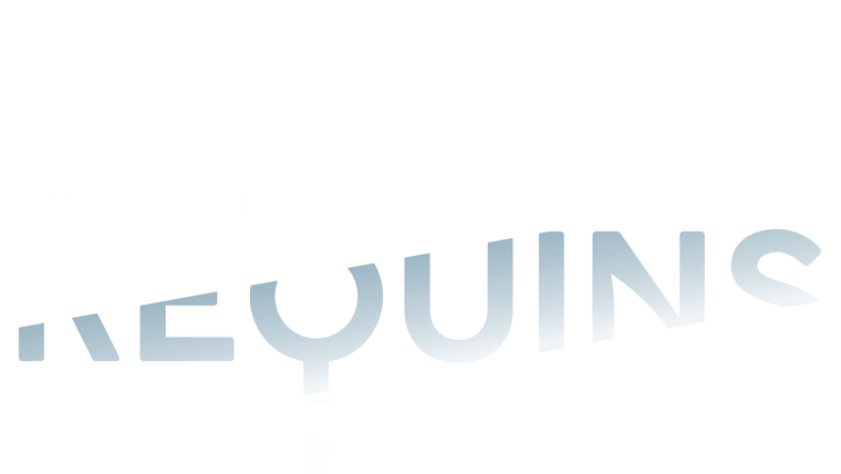 Au plus près des requins
