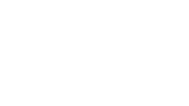 Le policier de l'ombre