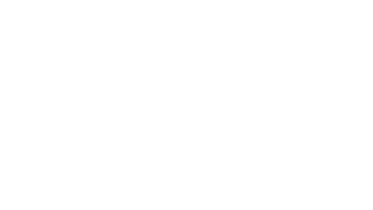 The StrongHold - Forteresse