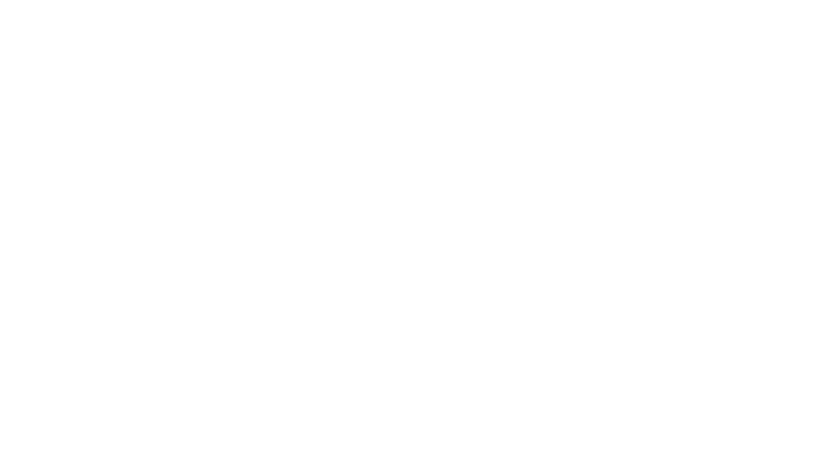 The Wave