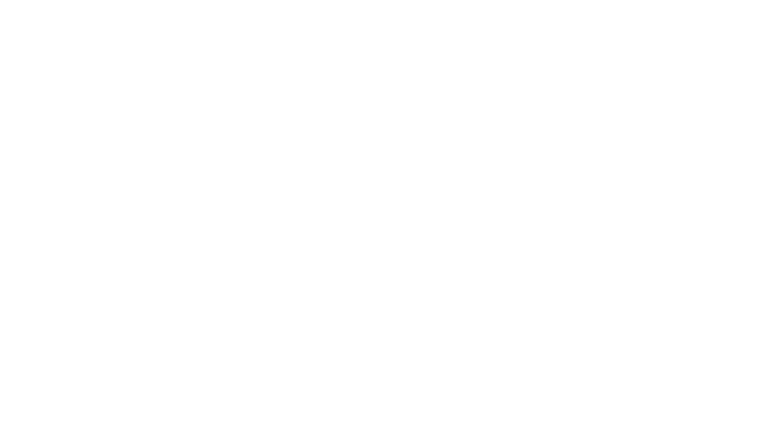 Firebird
