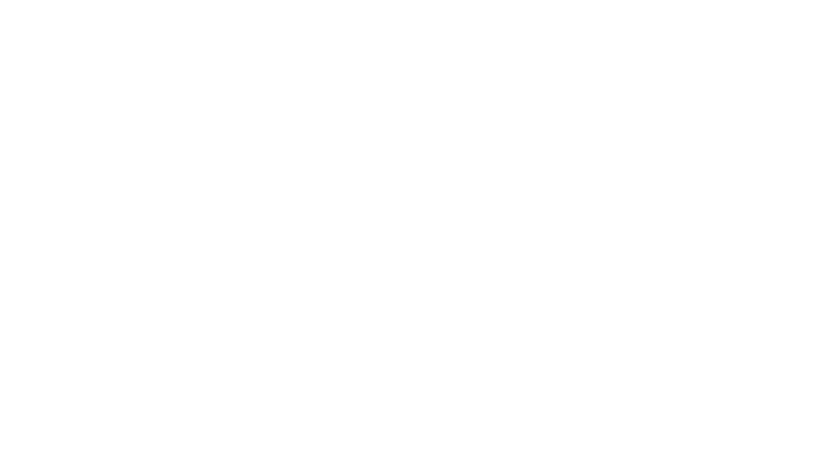 The Possessed