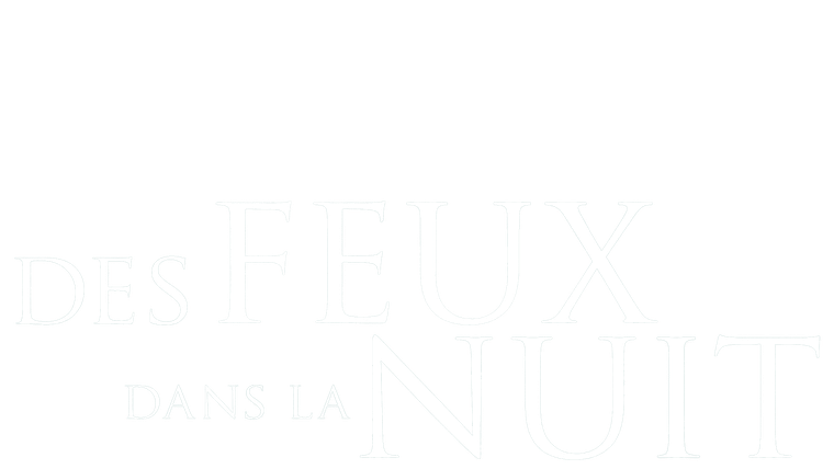 Des feux dans la nuit
