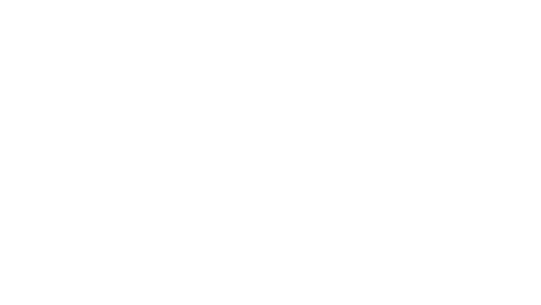 The Princess