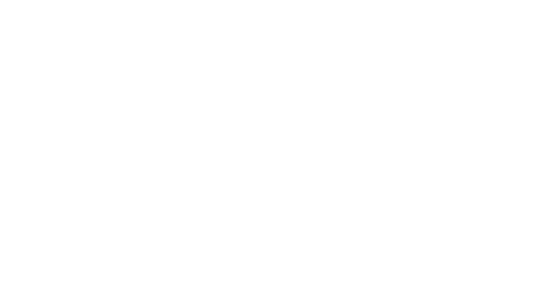 Les sentinelles de l'air