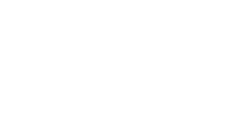 The Flight Attendant
