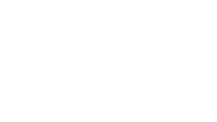 Paris Police 1905