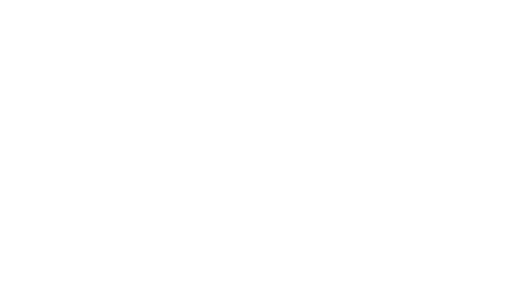 The Lion Woman