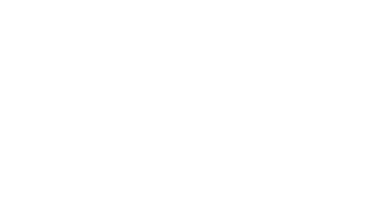 The Chef
