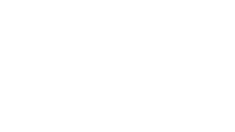 La Déesse des mouches à feu
