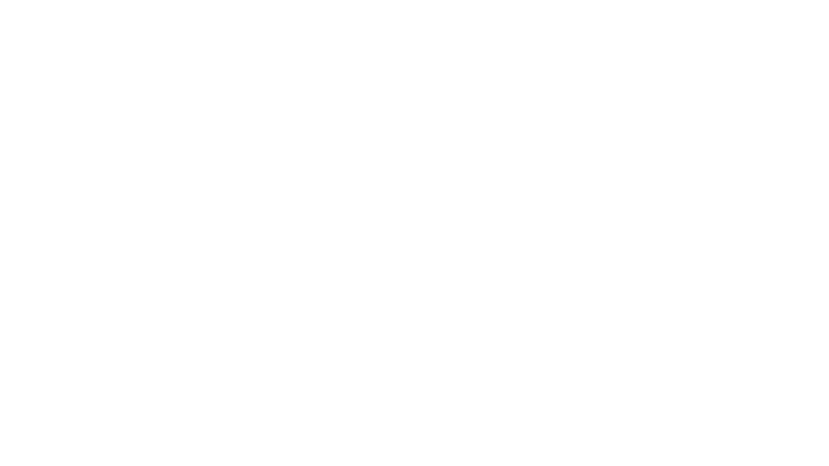 La dernière nuit de Lise Broholm