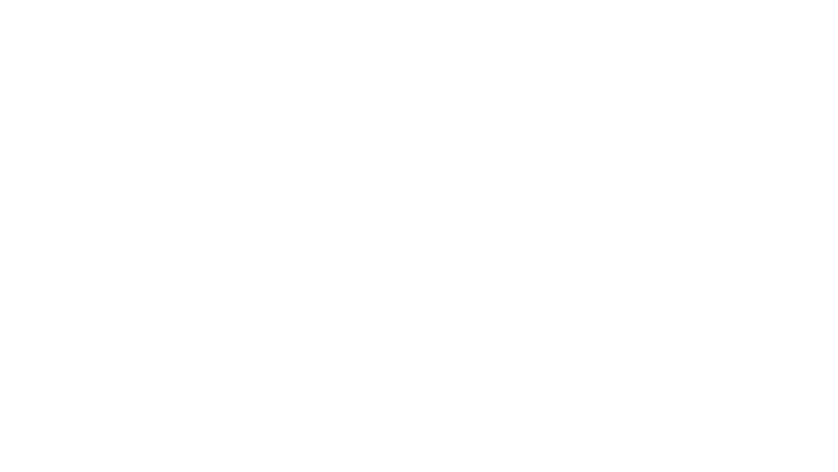 Love, Weddings & Other Disasters