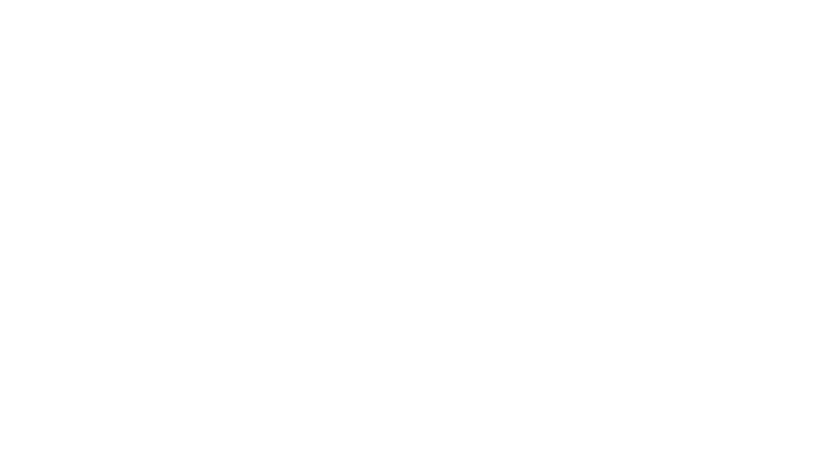 A.R.I.