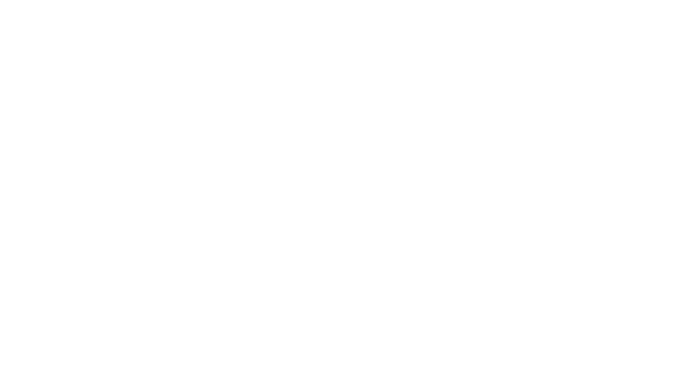 The Duke