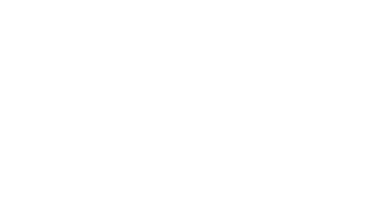 Le Tigre et le Président