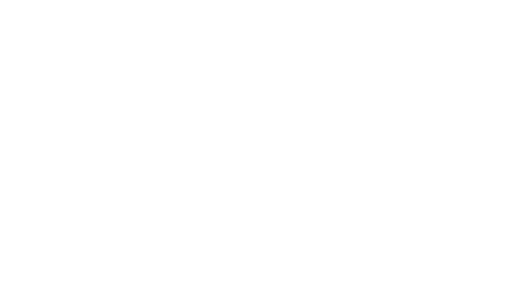 Plan 75