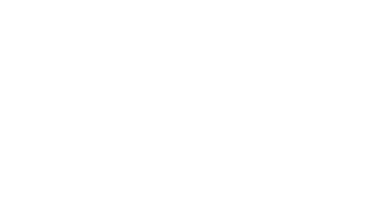 The Lair