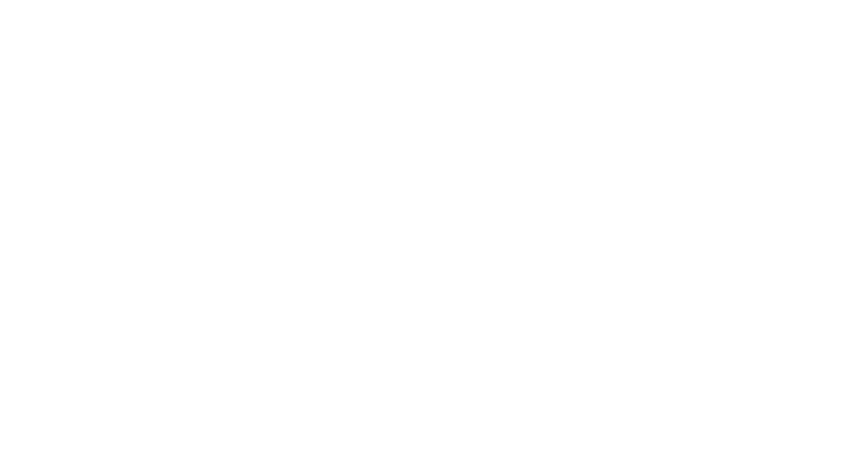 L'interprète