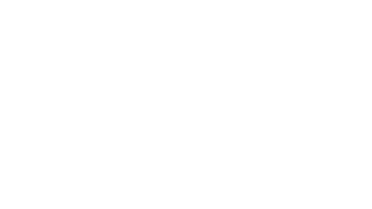 The Master of Kung-Fu