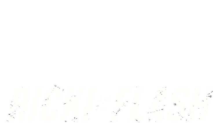 Ricki and the Flash
