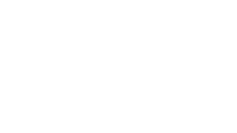 L'affaire Collini