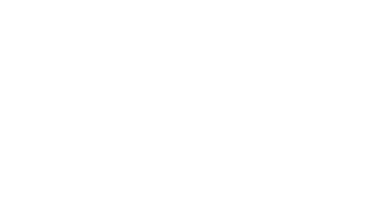 The Shanghai Job