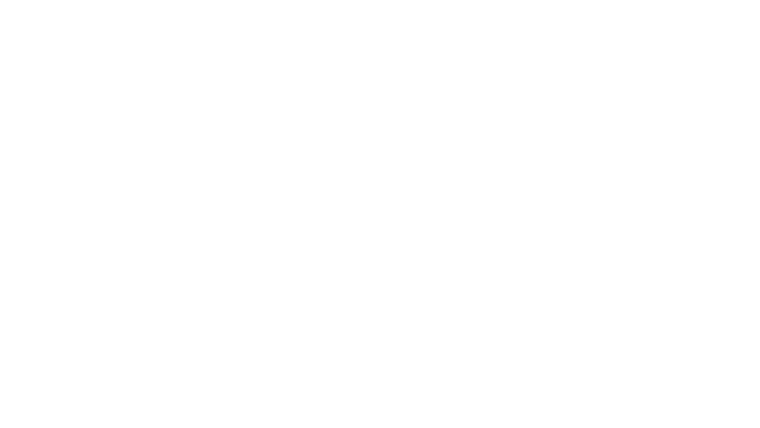 L'intrusa