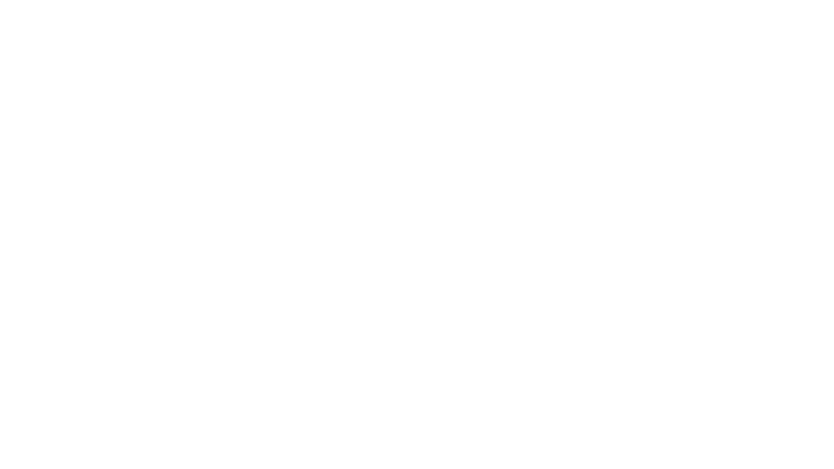 United Fight
