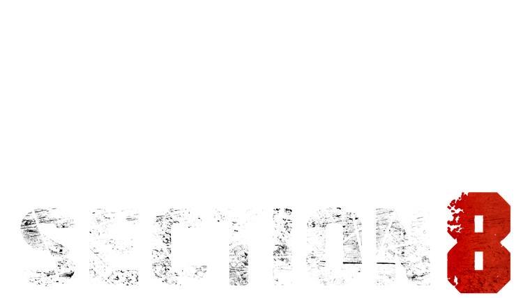 Section 8