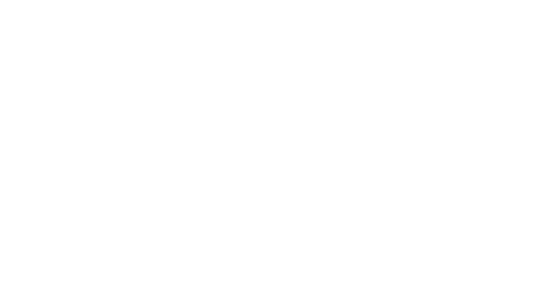 Bandit : La légende de Dick Turpin