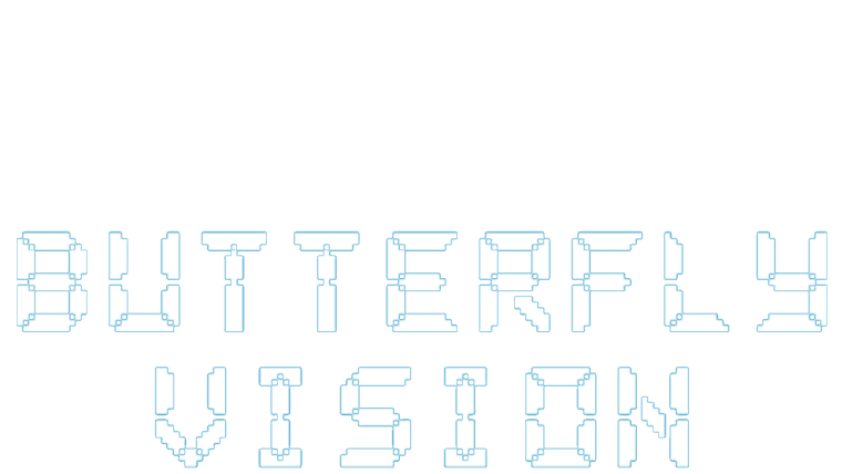 Butterfly Vision