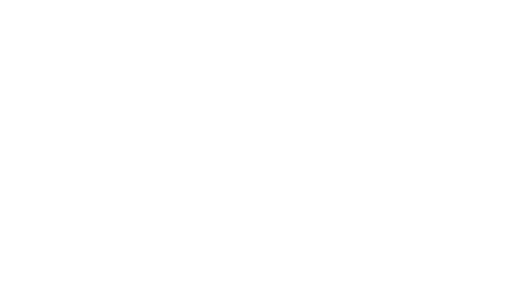 Chronique d'une liaison passagère