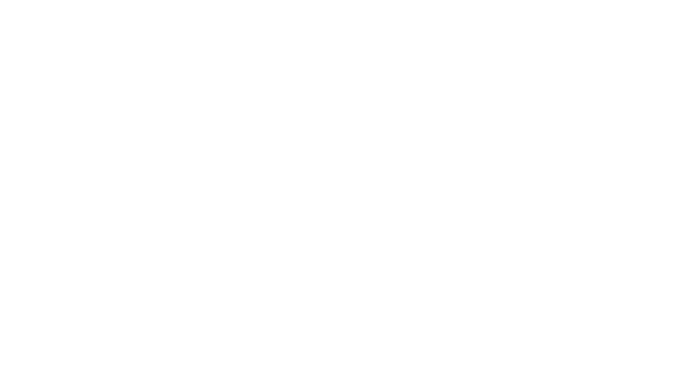 Les minutes noires
