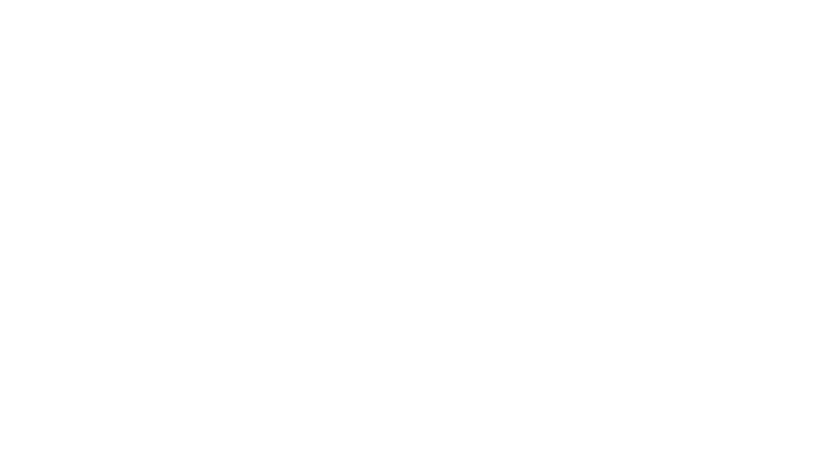 Le Torrent