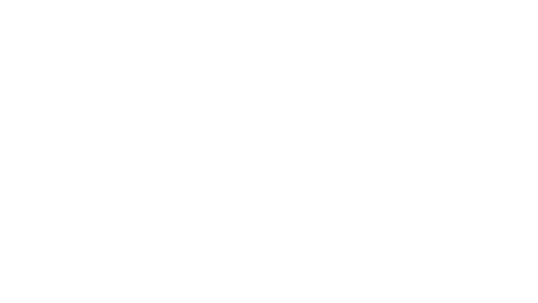 Maestro(s)