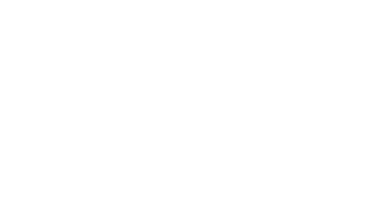 El buen patrón