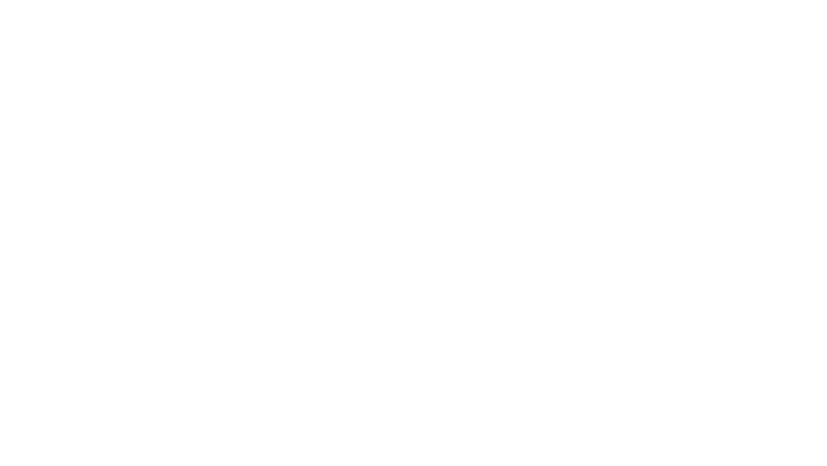 La balade de Lefty Brown