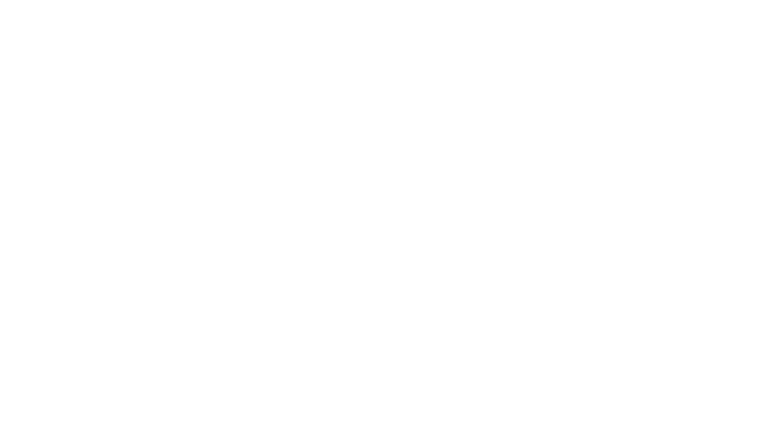 SOKO Linz