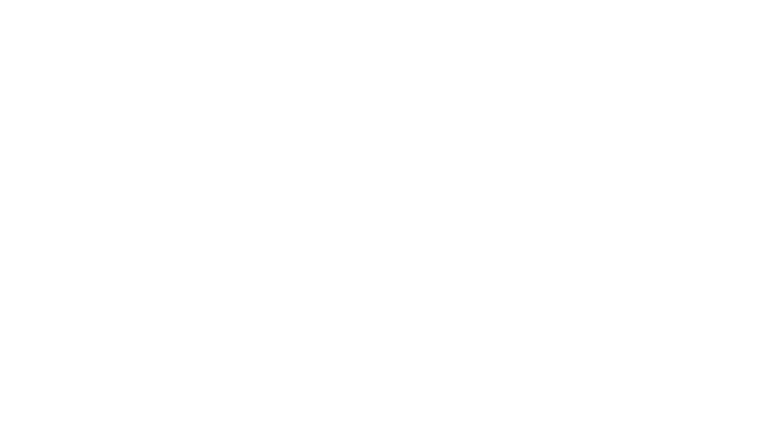 Un peuple et son roi