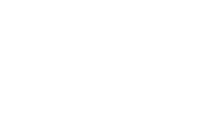 Grand Prix F1