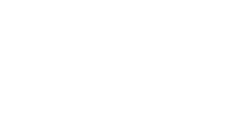 Histoire de Champions