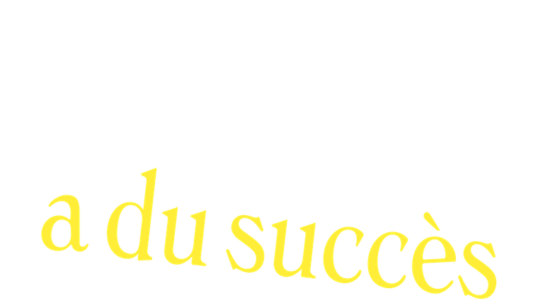Youssef Salem a du succès