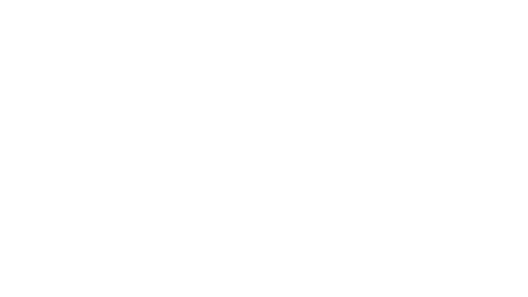 The First Lady