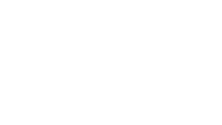 Domingo et la brume