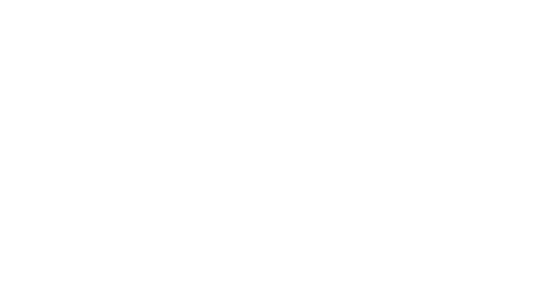 Le grand cirque