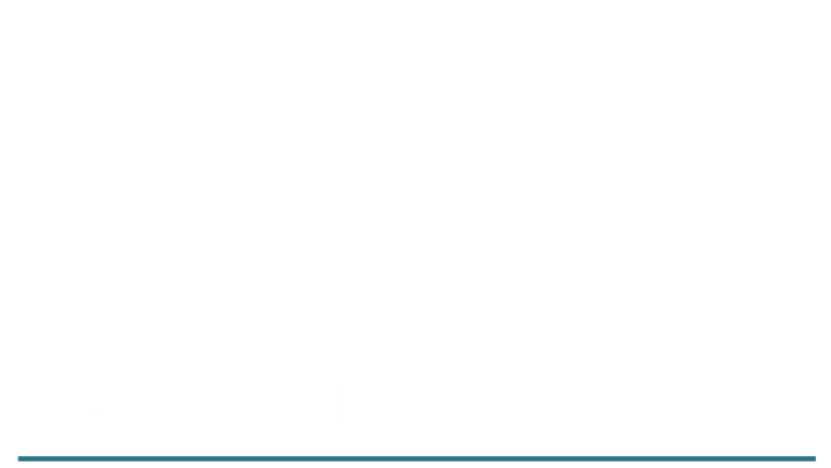 The Fabelmans