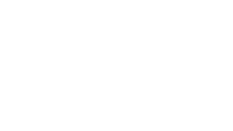 Chien de la casse