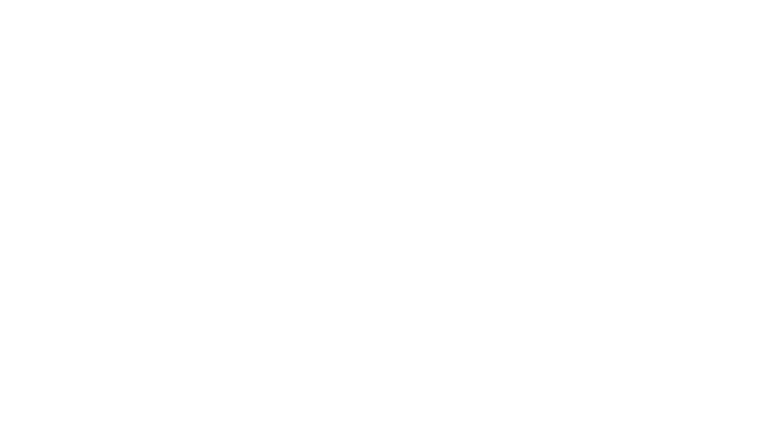 Mon chat et moi, la grande aventure de Rroû