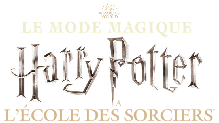 Livre Harry Potter à l'école des sorciers - Harry Potter