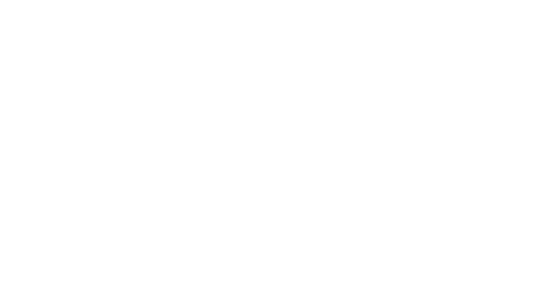 Le Sens de la fête